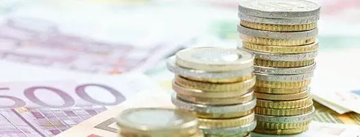 Geld und Pflanze